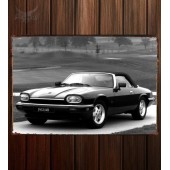 Металлическая табличка Jaguar XJS Convertible